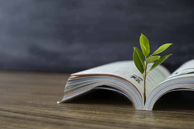 教育理念，书籍与树木图片下载