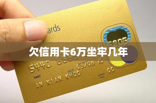 欠信用卡6万坐牢几年