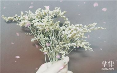 汽车刹车皮在三包范围之内吗