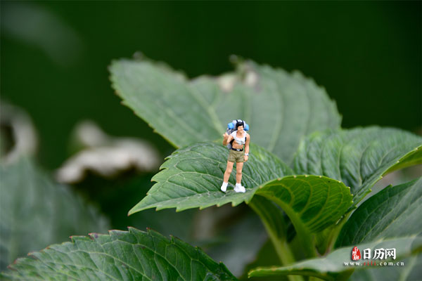 微缩摄影之一名背包客站在丛林里拍照