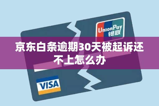 京东白条逾期30天被起诉还不上怎么办
