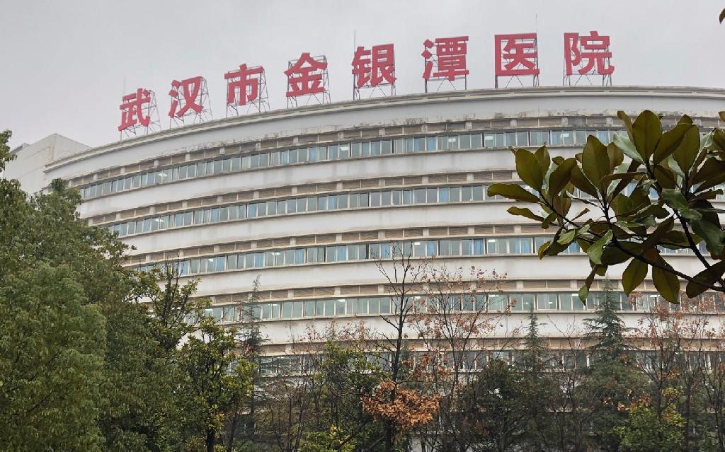武汉市金银潭医院