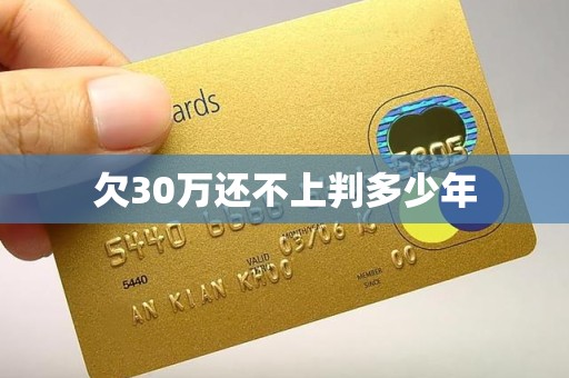 欠30万还不上判多少年