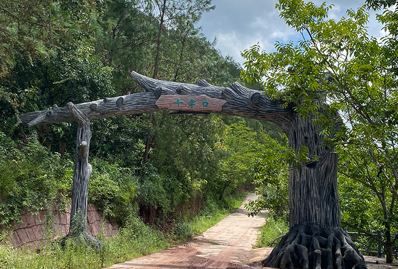 十字口村组道路。赵正国摄