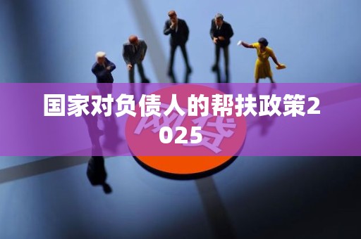 国家对负债人的帮扶政策2025