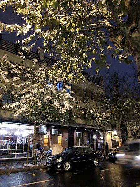 数年に一度雪が降ります