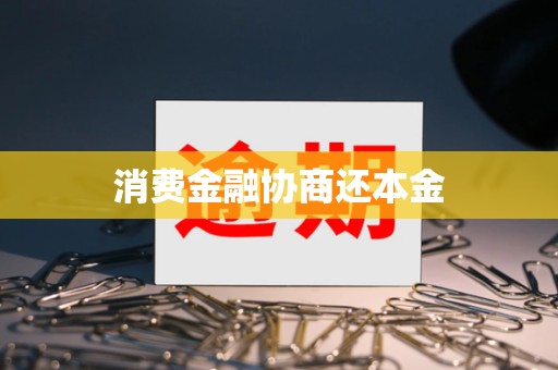 消费金融协商还本金