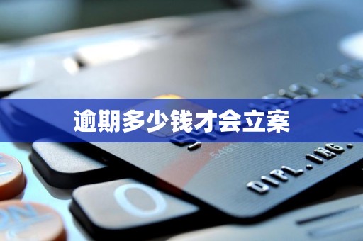 逾期多少钱才会立案