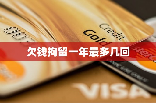 欠钱拘留一年最多几回