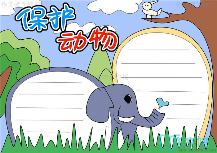 保护动物手抄报