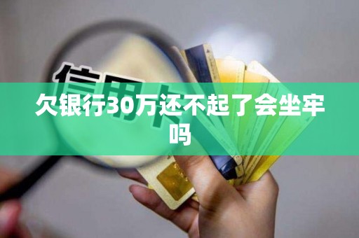 欠银行30万还不起了会坐牢吗