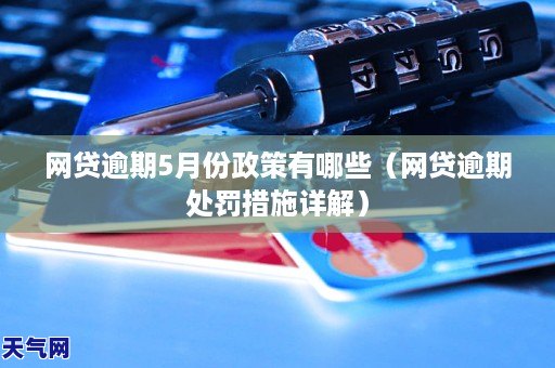 网贷逾期5月份政策有哪些（网贷逾期处罚措施详解）