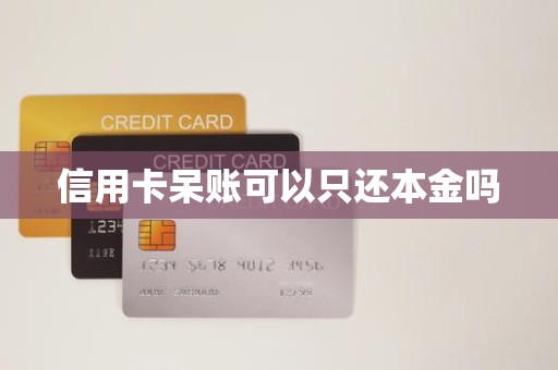 信用卡呆账可以只还本金吗