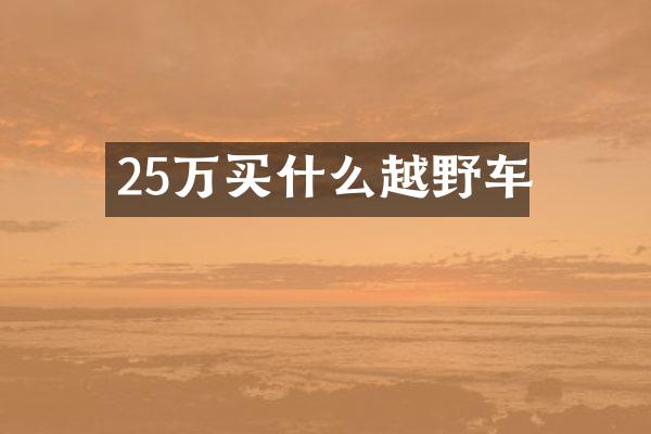 25万买什么越野车