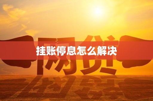 挂账停息怎么解决