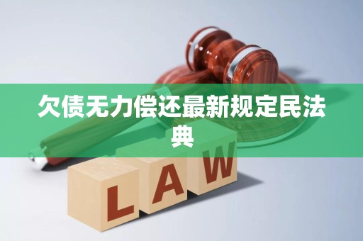欠债无力偿还最新规定民法典