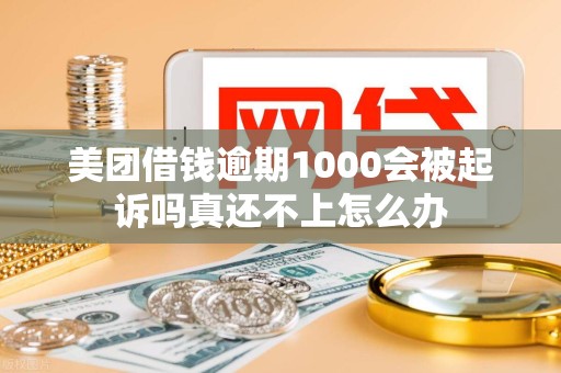 美团借钱逾期1000会被起诉吗真还不上怎么办
