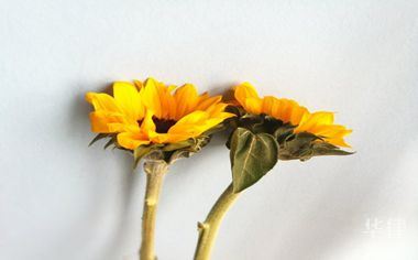 行政责任民事责任刑事责任的区别分别是什么