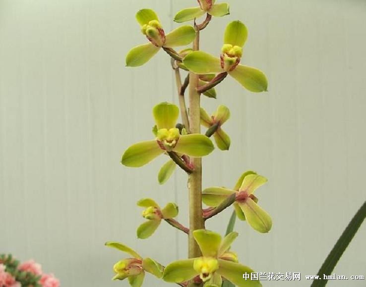 点击图片在新窗口浏览原图