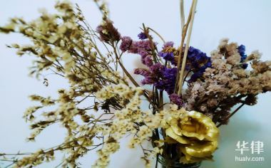 什么是侵权责任