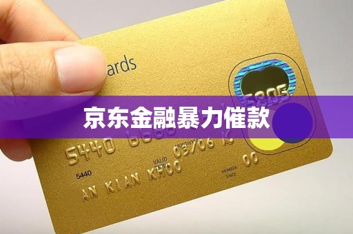 京东金融暴力催款