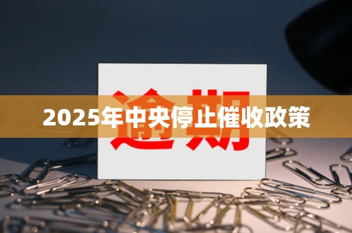 2025年中央停止催收政策