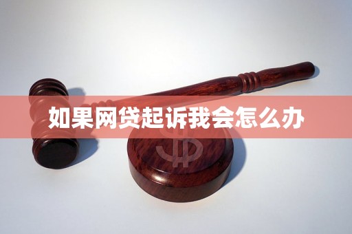 如果网贷起诉我会怎么办