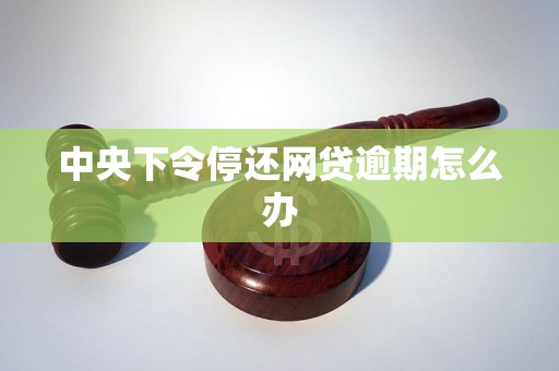 中央下令停还网贷逾期怎么办
