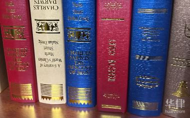 劳动能力鉴定九级赔偿标准