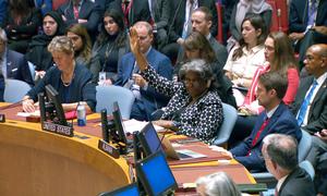 巴西提出的呼吁“人道主义暂停”的决议草案在安理会遭到美国否决。