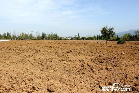 &ldquo;山水草堂（山水宅院）&rdquo;违建别墅拆除后，现场已覆土恢复土地原貌（王甲铸/摄）