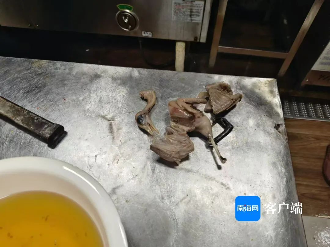 3名村民吃癞蛤蟆中毒后续：文昌对18家饭店联合检查，发现疑似果子狸肉→