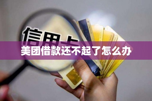 美团借款还不起了怎么办