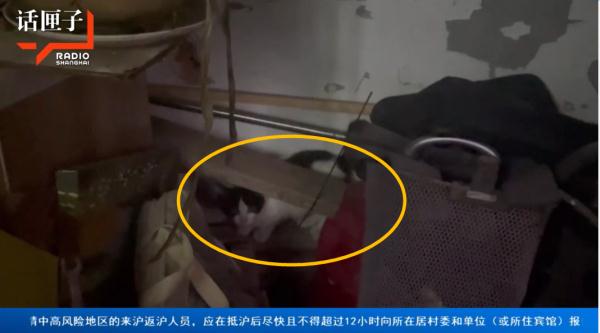 沪一小区居民楼道内做这事引来蟑螂无数，邻居：好想逃，却逃不掉...