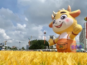 在校还能摸鱼、抓鸡?广西这所大学太会玩