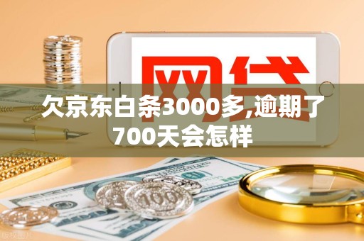 欠京东白条3000多,逾期了700天会怎样
