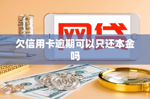 欠信用卡逾期可以只还本金吗