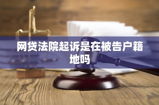 网贷法院起诉是在被告户籍地吗