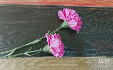 诉讼离婚可以拘传吗