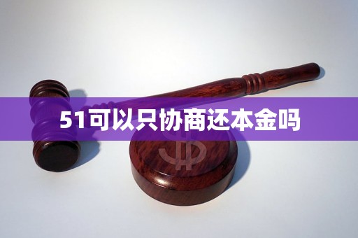 51可以只协商还本金吗