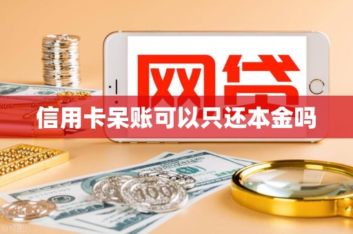 信用卡呆账可以只还本金吗