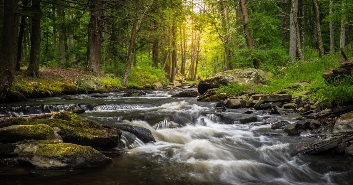 新 PFAS 法规：如何在 2024 年保持合规