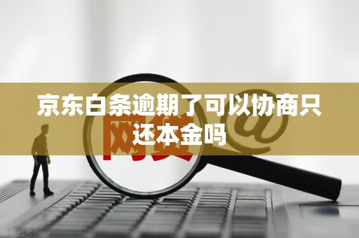 京东白条逾期了可以协商只还本金吗