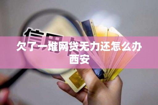 欠了一堆网贷无力还怎么办西安