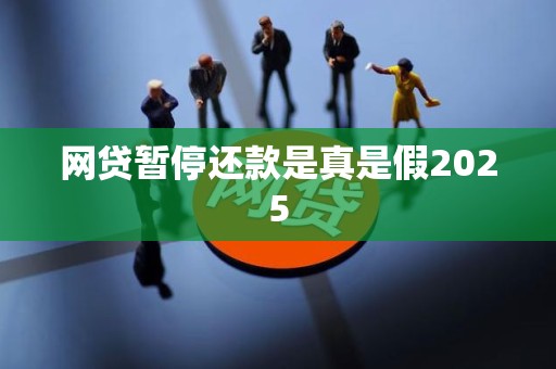 网贷暂停还款是真是假2025