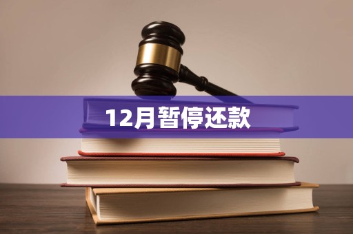 12月暂停还款