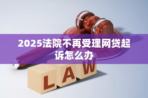 2025法院不再受理网贷起诉怎么办