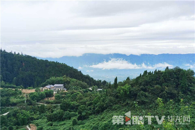 北碚静观镇远山薄雾笼罩。第1眼TV-华龙网记者 石涛 摄