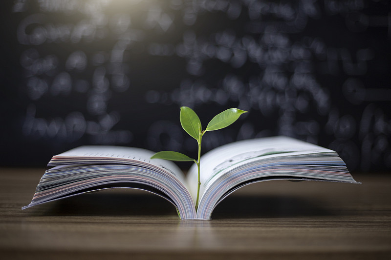 教育理念，书籍与树木图片下载