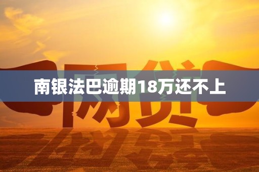 南银法巴逾期18万还不上